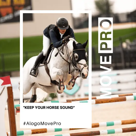 Keep your horse sound