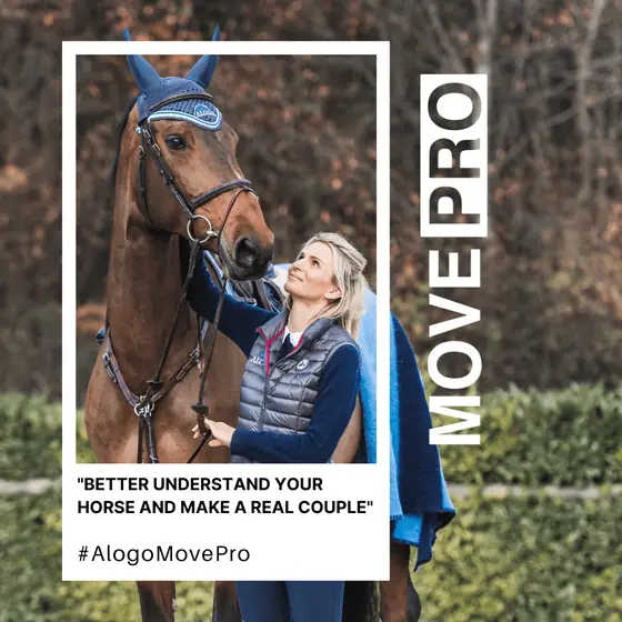 Better understand your horse and make a real couple
