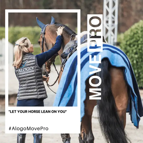 Let your horse lean on you