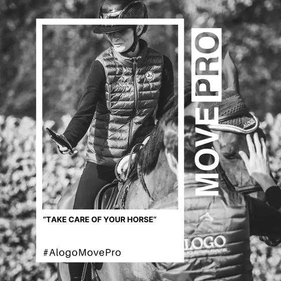 Take care of your horse