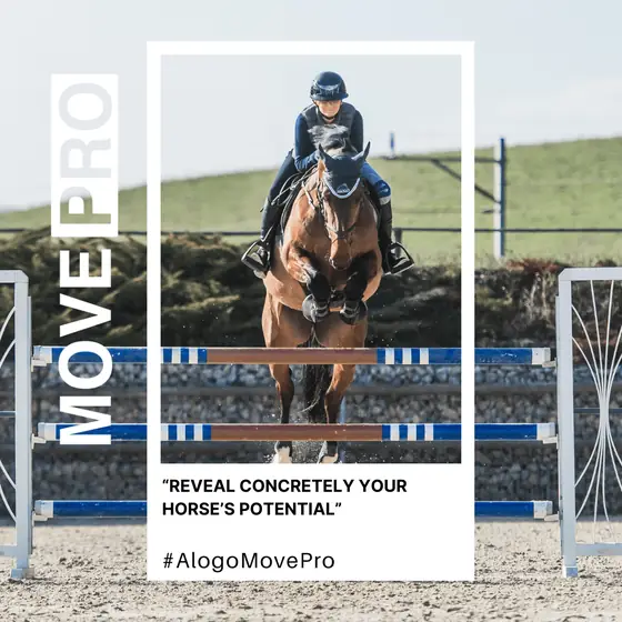 Reveal concretely your horse’s potential
