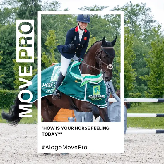 How is your horse feeling today?